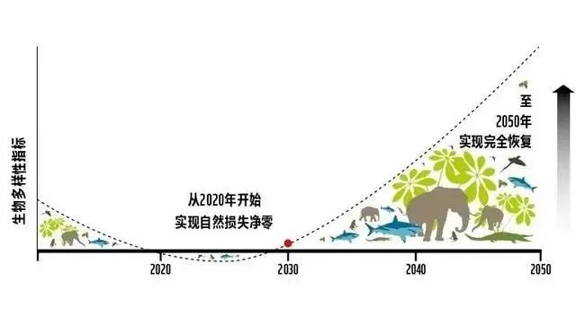 高考专业介绍(090202野生动物与自然保护区管理) 第9张