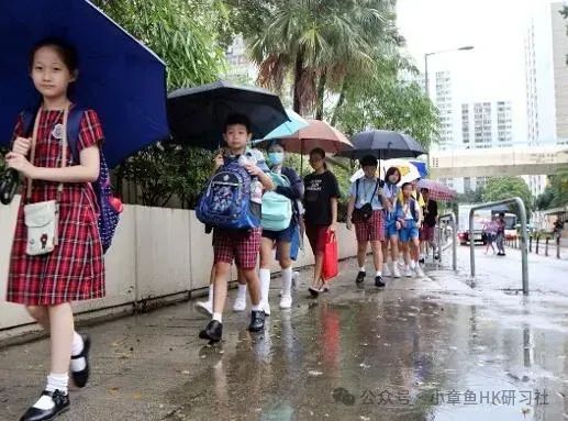 不用中考,下午三点就放学?香港中学生真能躺着上名校? 第2张