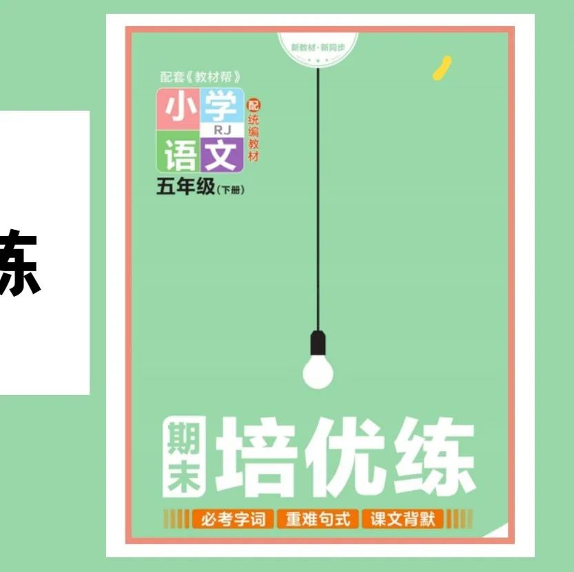 小学 | 2024春《少年素质教育报15天满分备考》3-5年级语文人教版下册,期末备考必备~ 第26张