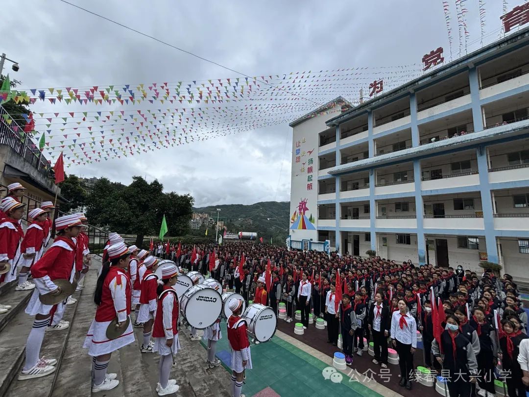 绿春县大兴小学教育集团2024年“红领巾爱祖国”六·一庆祝活动 第11张