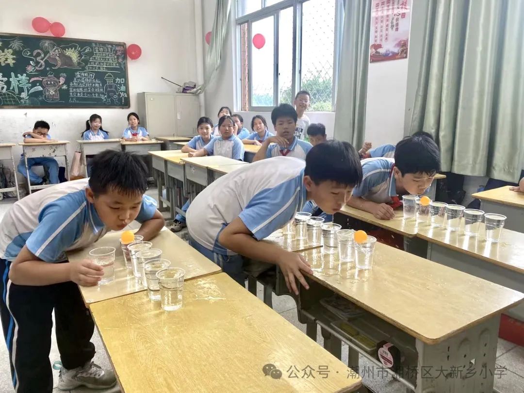 笃行共成长,齐心向未来 —大新乡小学、竹围小学“红领巾爱祖国”庆六一系列活动 第48张