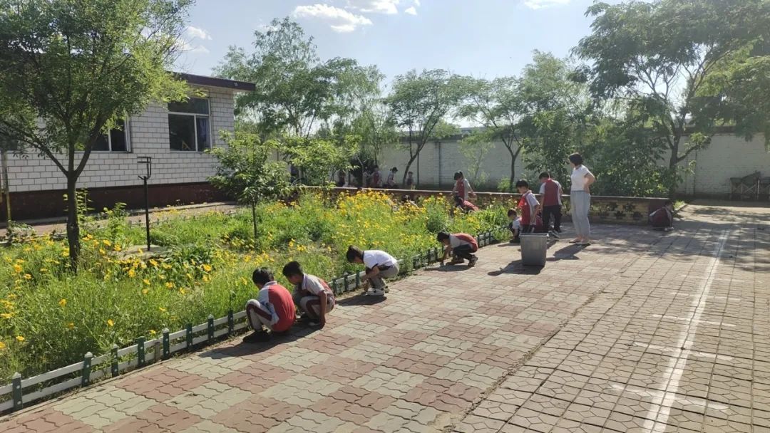 “保持童真,天天开心”赵各庄小学第十四周工作总结 第12张