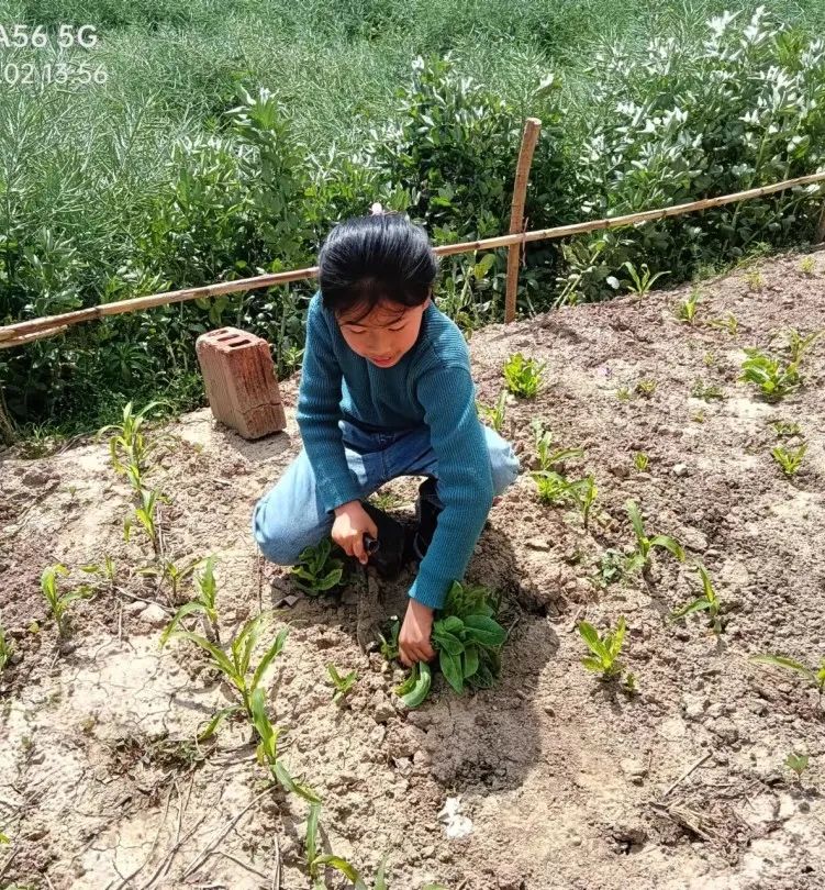 【龙堤小学·微美育人】“每月一事·微美少年”颁奖仪式 第14张