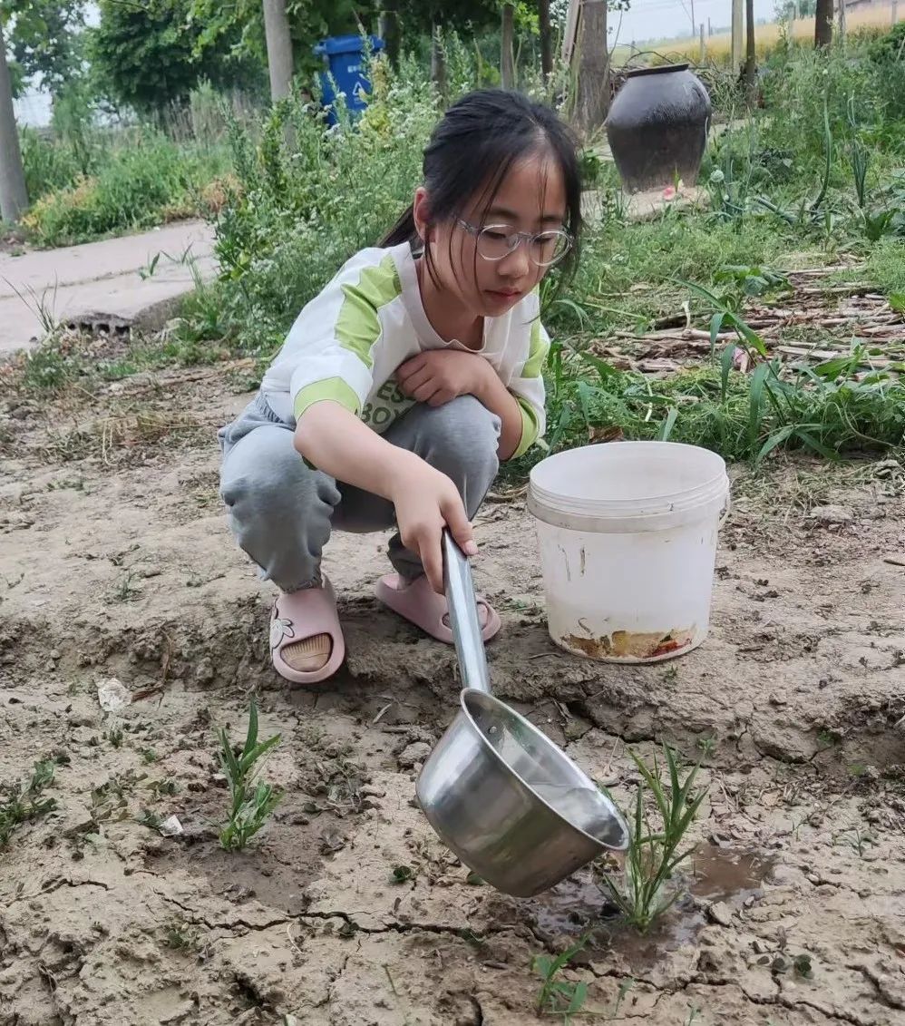 【龙堤小学·微美育人】“每月一事·微美少年”颁奖仪式 第31张