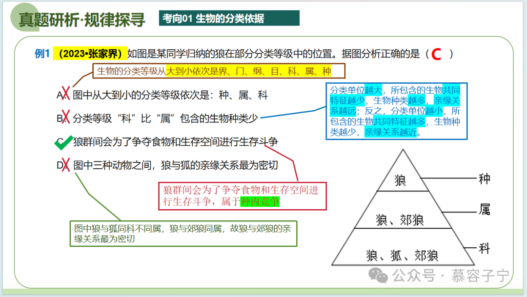 【中考生物】2024年中考生物二轮复习PPT专题二 生物的多样性 第15张