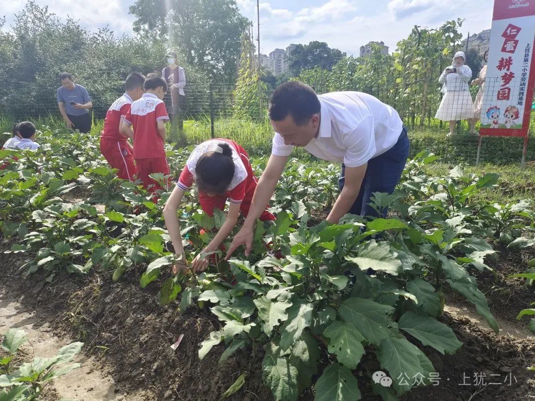 上犹县第二小学一周周报(第116期) 第8张