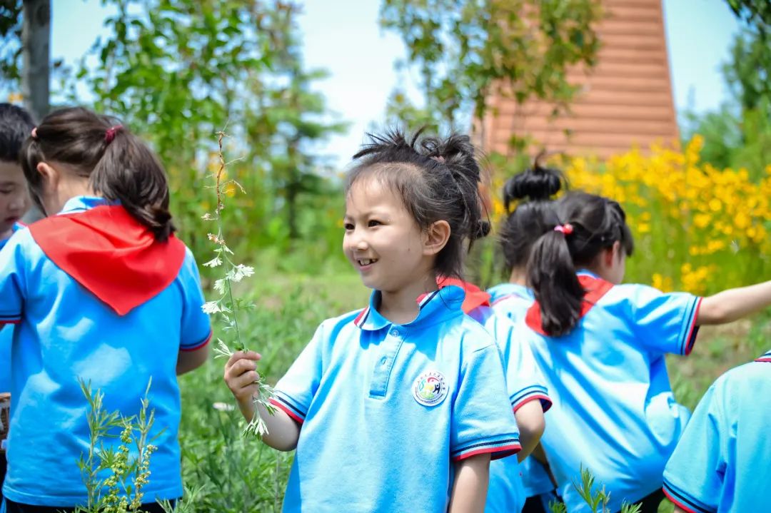 【全环境立德树人】上合示范区实验小学“学思践悟 勇创未来”庆六一系列活动 第86张