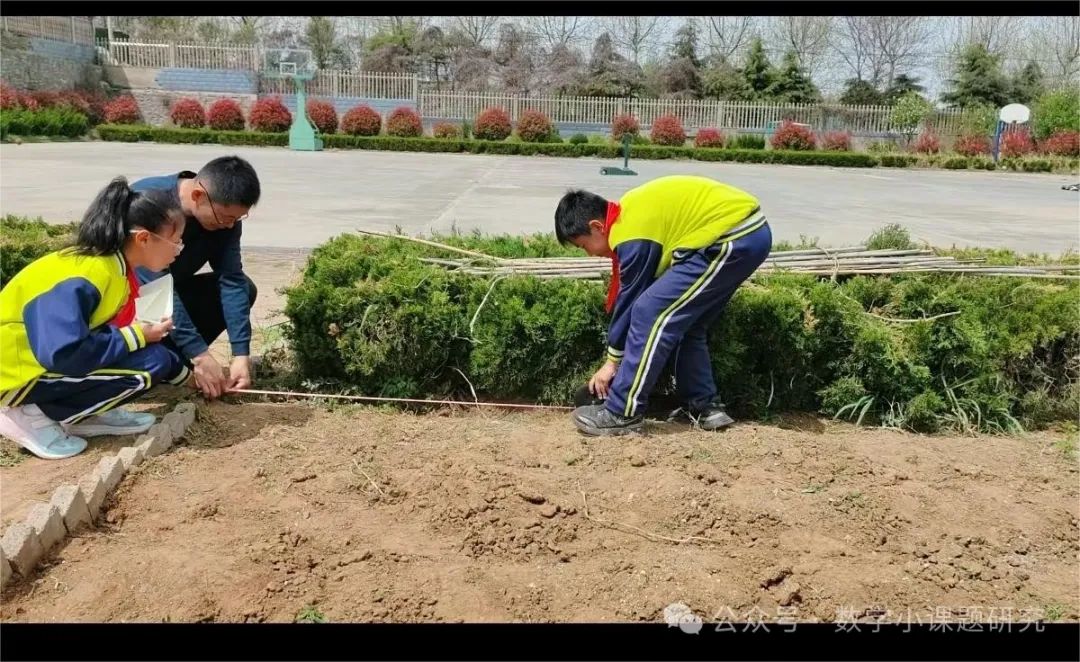 小学数学跨学科主题学习实践案例——小红薯成长记 第4张