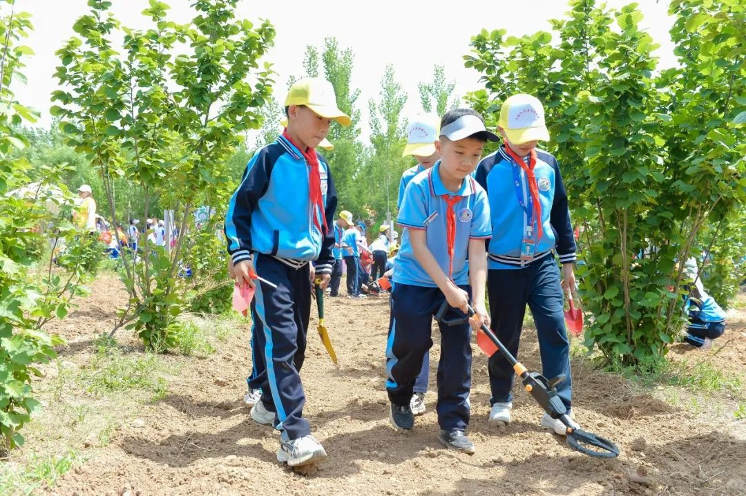 【全环境立德树人】上合示范区实验小学“学思践悟 勇创未来”庆六一系列活动 第54张