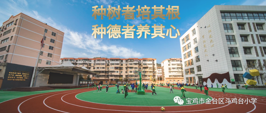 喜报:斗鸡台小学六一班王煜杰同学荣获陕西省2024年科学影像节二等奖 第7张