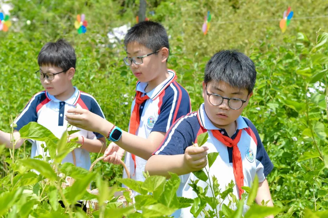 【全环境立德树人】上合示范区实验小学“学思践悟 勇创未来”庆六一系列活动 第78张