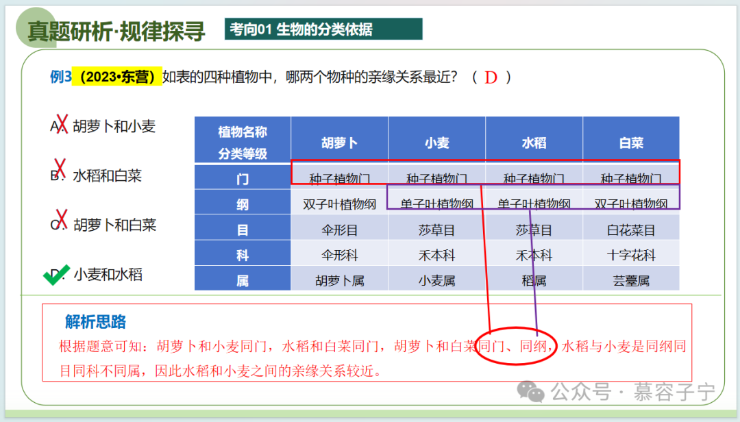 【中考生物】2024年中考生物二轮复习PPT专题二 生物的多样性 第17张