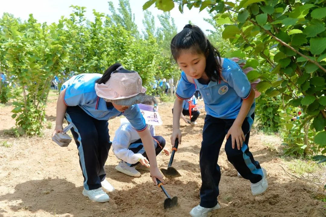 【全环境立德树人】上合示范区实验小学“学思践悟 勇创未来”庆六一系列活动 第57张