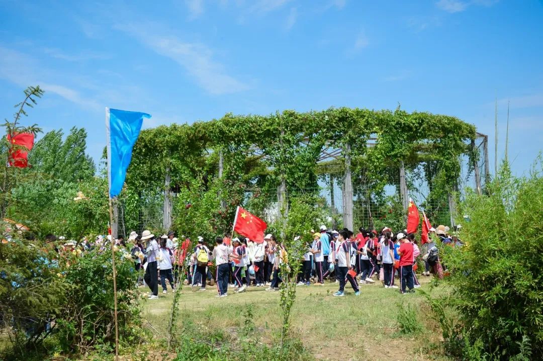 【全环境立德树人】上合示范区实验小学“学思践悟 勇创未来”庆六一系列活动 第52张