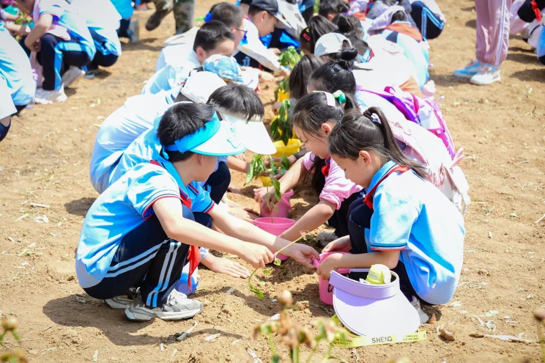 【全环境立德树人】上合示范区实验小学“学思践悟 勇创未来”庆六一系列活动 第66张