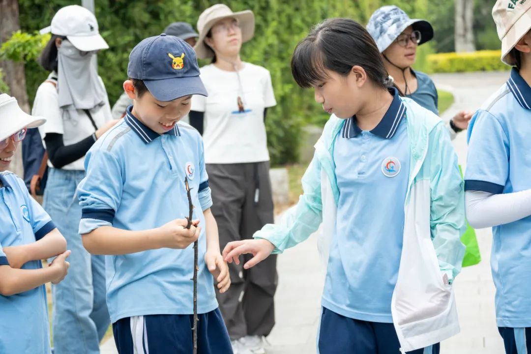 「万物友爱」公益系列·鹭江新城小学《园博苑·园艺劳动》活动回顾 第3张