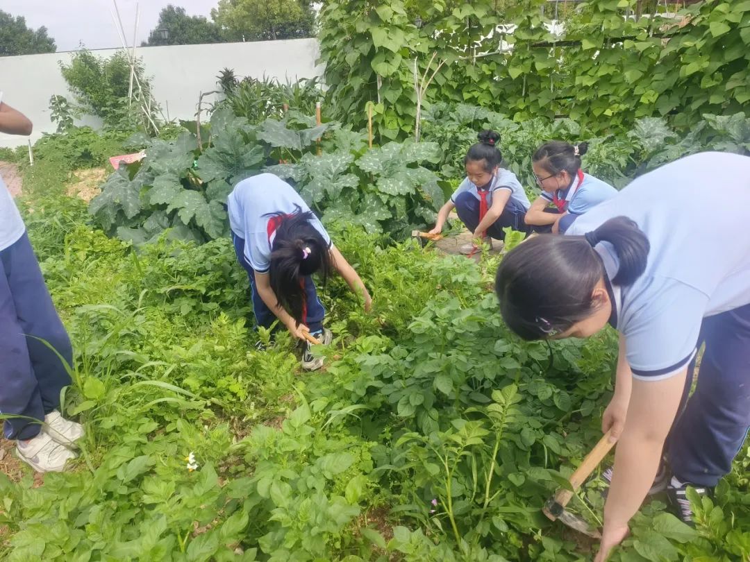 乐清市柳市镇第九小学2024年秋季招生简章 第37张