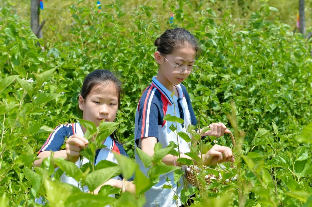 【全环境立德树人】上合示范区实验小学“学思践悟 勇创未来”庆六一系列活动 第80张