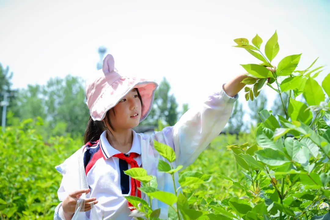 【全环境立德树人】上合示范区实验小学“学思践悟 勇创未来”庆六一系列活动 第79张