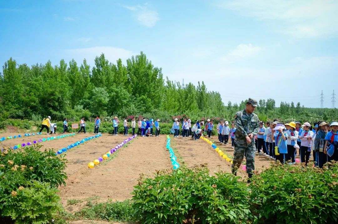 【全环境立德树人】上合示范区实验小学“学思践悟 勇创未来”庆六一系列活动 第62张