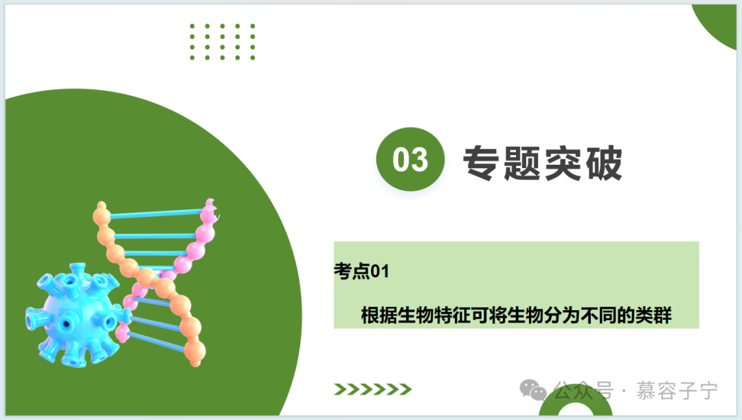 【中考生物】2024年中考生物二轮复习PPT专题二 生物的多样性 第14张