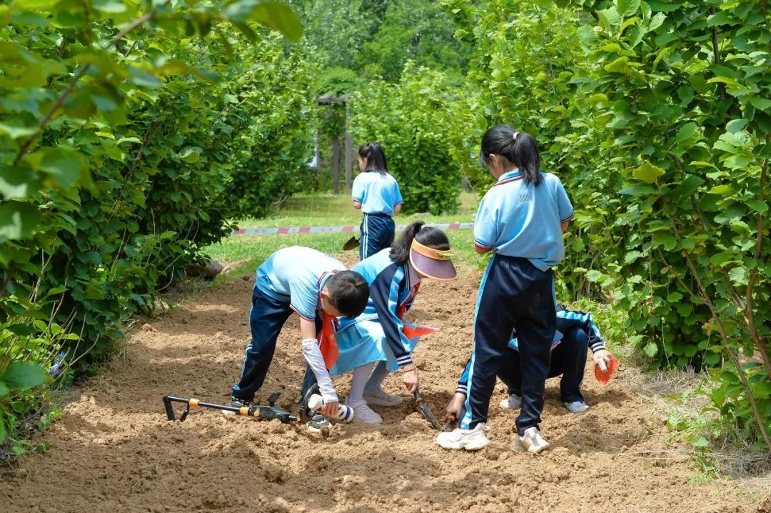 【全环境立德树人】上合示范区实验小学“学思践悟 勇创未来”庆六一系列活动 第58张