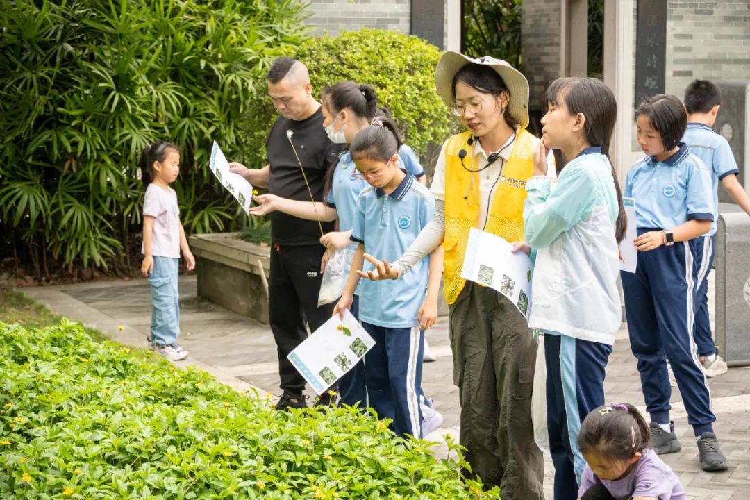 「万物友爱」公益系列·鹭江新城小学《园博苑·园艺劳动》活动回顾 第20张