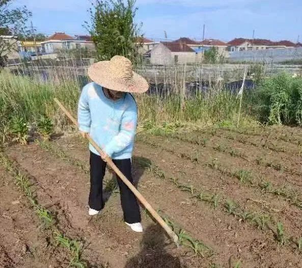 【龙堤小学·微美育人】“每月一事·微美少年”颁奖仪式 第26张