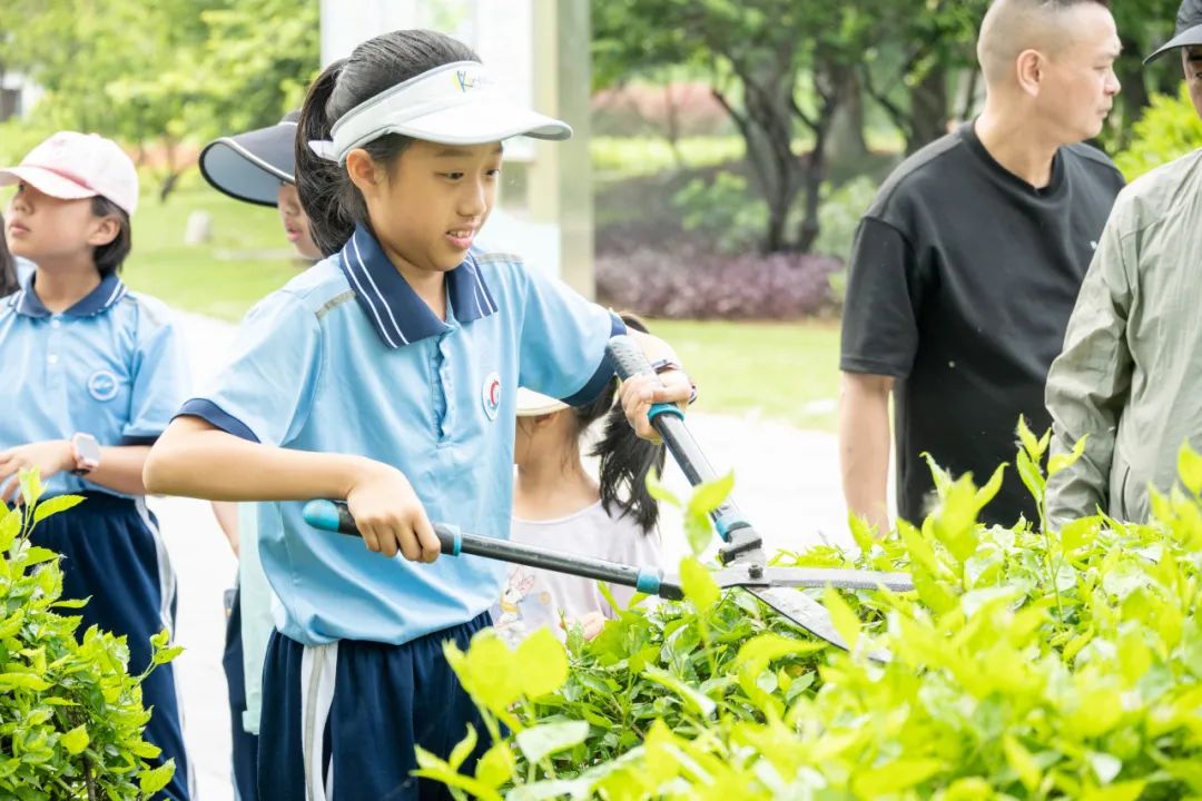 「万物友爱」公益系列·鹭江新城小学《园博苑·园艺劳动》活动回顾 第14张