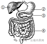 0602初中生物中考押题预测卷选择题及答案 第5张