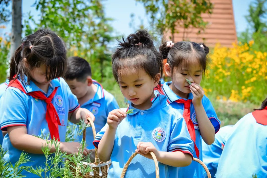 【全环境立德树人】上合示范区实验小学“学思践悟 勇创未来”庆六一系列活动 第85张