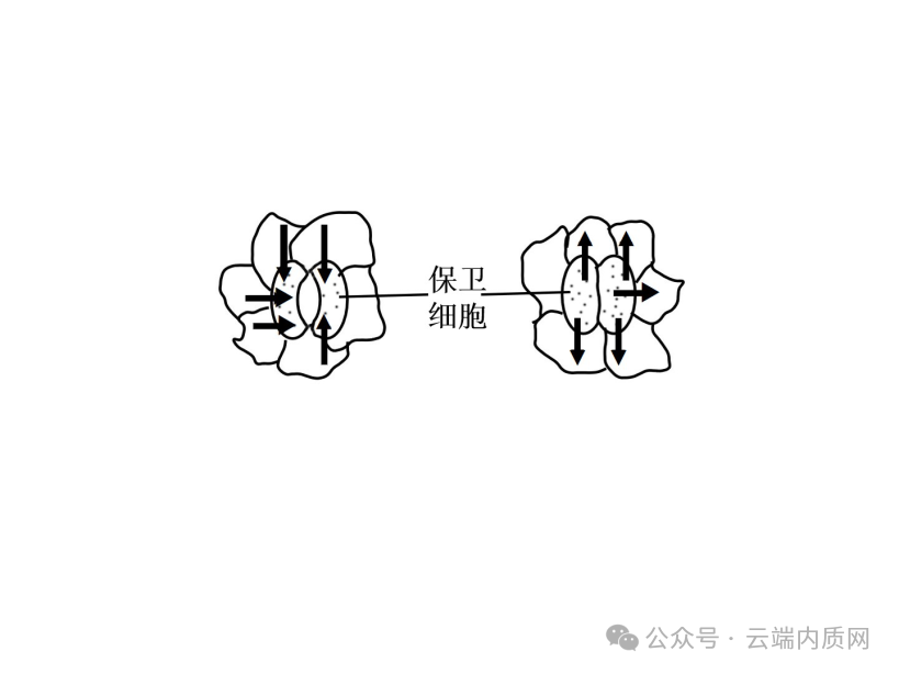 0602初中生物中考押题预测卷选择题及答案 第1张