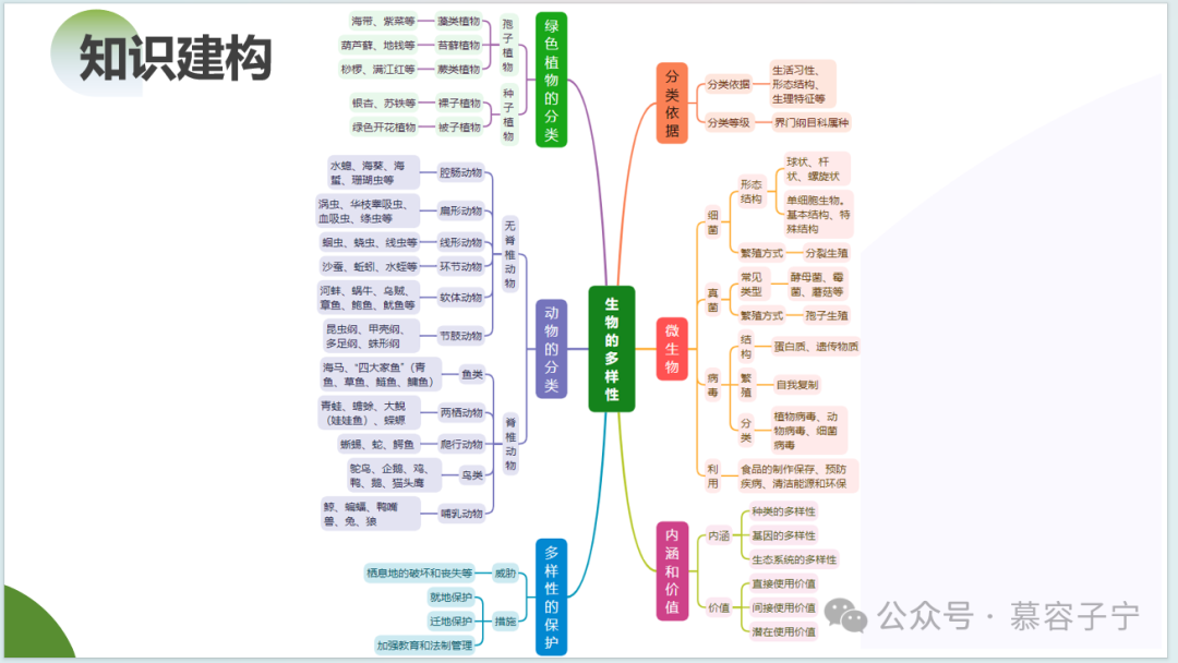 【中考生物】2024年中考生物二轮复习PPT专题二 生物的多样性 第13张