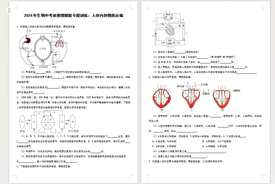 2024年生物中考读图理解题专题训练:人体内的物质运输10页 第1张