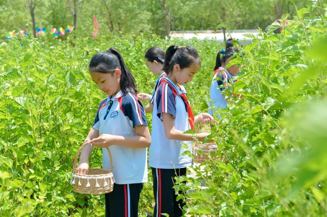 【全环境立德树人】上合示范区实验小学“学思践悟 勇创未来”庆六一系列活动 第77张