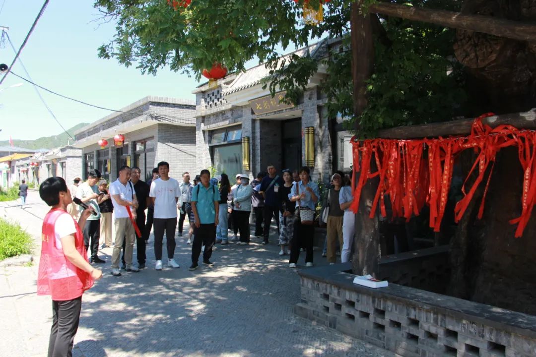 太师屯镇中心小学党总支开展“学思践悟,走进中国美丽乡村”主题党日活动 第18张