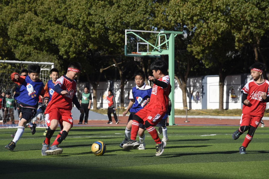 招生公告│乐清市雁荡镇第一小学2024年秋季招生简章 第18张