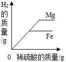 溶液|中考化学复习考点精讲9 第116张