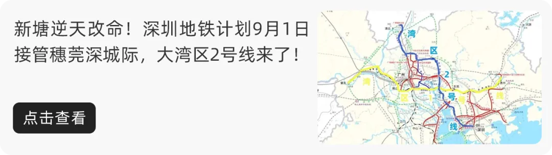 恭喜增城家长!不止执信!华附小学今年中签率也提高了! 第15张