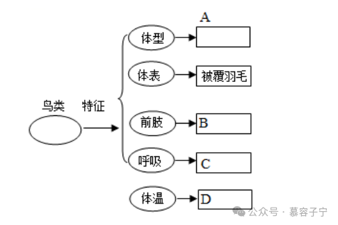 【中考生物】2024年中考生物二轮复习专题配套测试二 生物的多样性(含答案及解析) 第4张