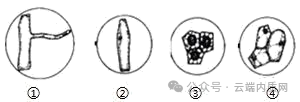 0602初中生物中考押题预测卷选择题及答案 第3张