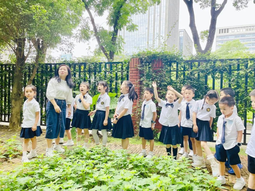 幼小相约,探秘小学|守护育幼底线,成就美好童年 第90张