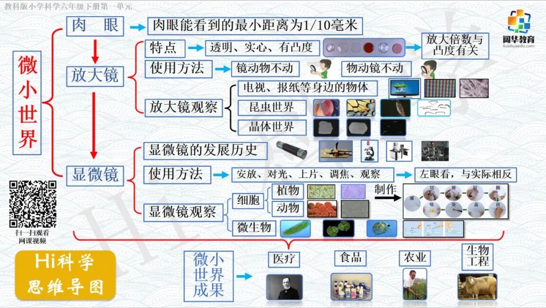 小学科学3-6年级思维导图 第12张