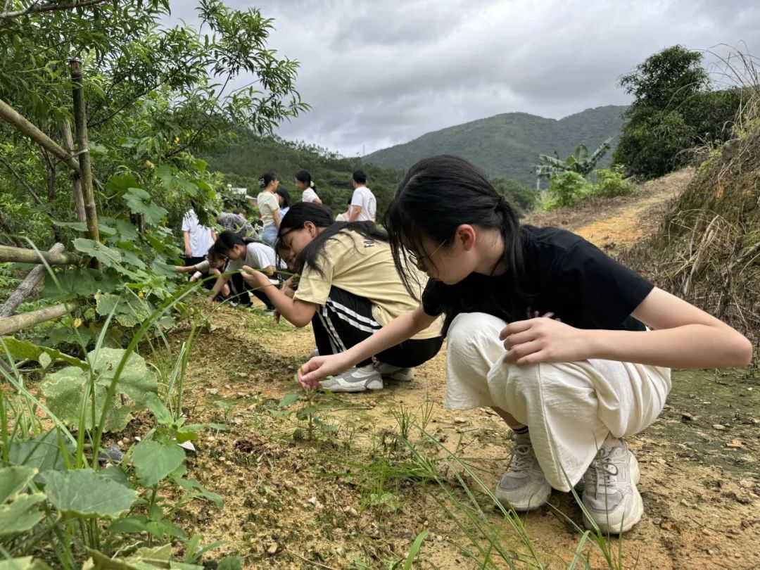 志当存高远 无愧梦少年——名智小学六年级毕业暨庆“六一”研学游 第31张