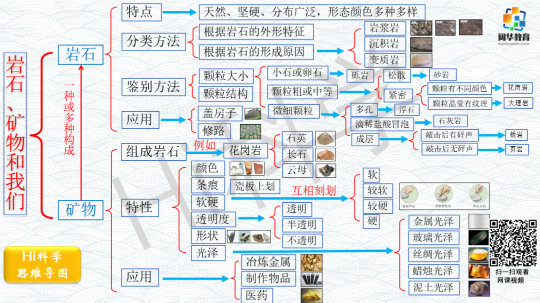 小学科学3-6年级思维导图 第7张