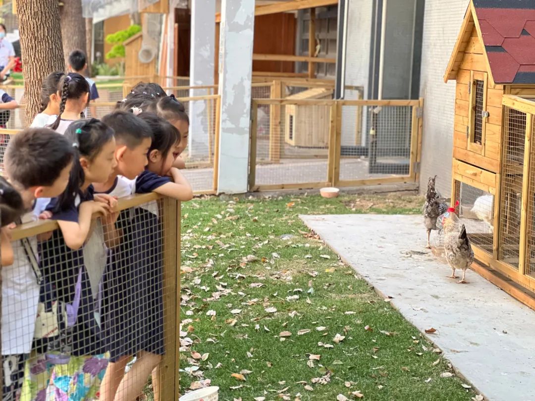 【幼小衔接】初探小学,赴一场成长之约——郑州市中原区锦艺实验幼儿园大班参观锦艺小学 第18张