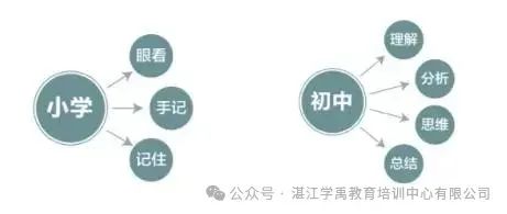 小学毕业后的暑假该如何度过? 第4张