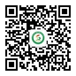 初探小学  礼遇成长——神木市大柳塔第五幼儿园大班参观小学社会实践活动纪实 第45张