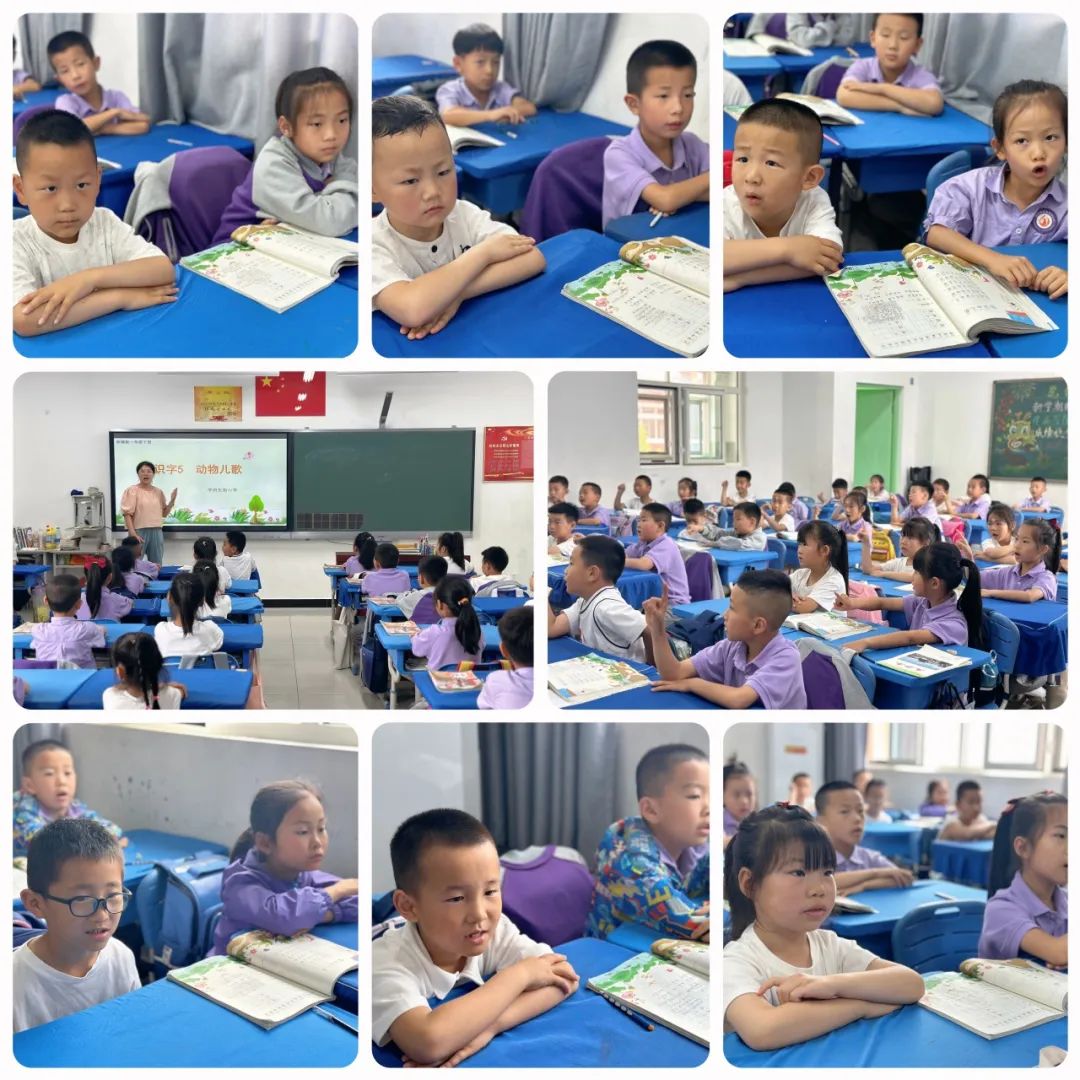 【科学衔接】“小学,你好”——魏风幼儿园幼小衔接系列活动之参观小学 第39张