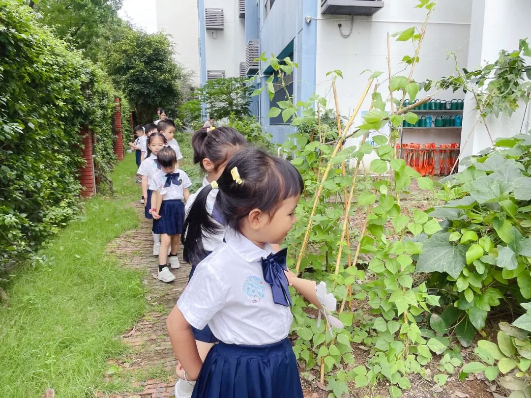 幼小相约,探秘小学|守护育幼底线,成就美好童年 第87张